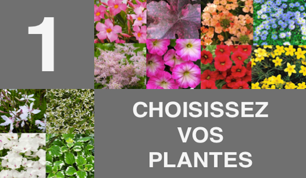 choisissez vos plantes