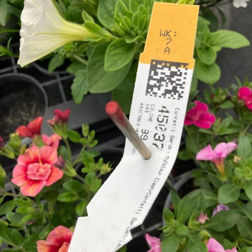 Mélange Fleuri Confetti Trio Garden Mycolour Clash