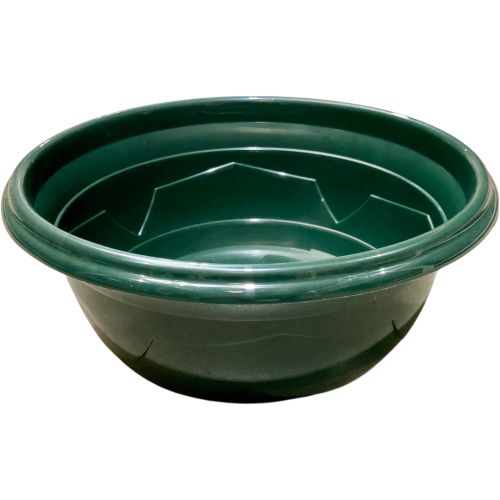 Coupe Millesia Diamètre 41cm de couleur Verte