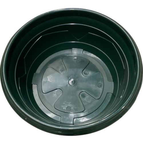 Coupe Millesia Diamètre 41cm de couleur Verte