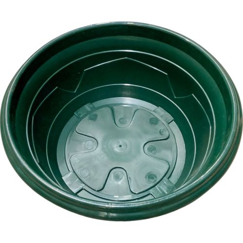 Coupe Millesia Diamètre 32cm de couleur Verte