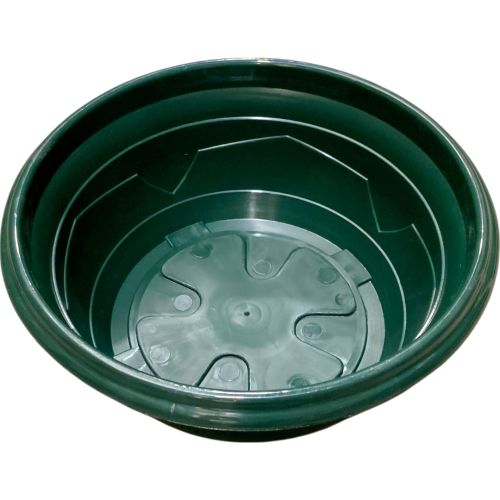 Coupe Millesia Diamètre 32cm de couleur Verte