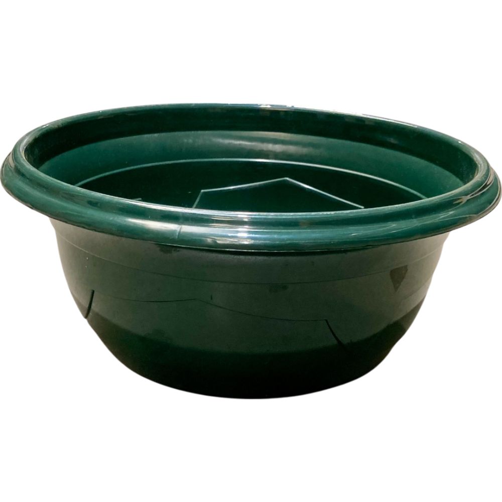 Coupe Millesia Diamètre 32cm de couleur Verte