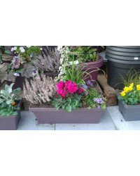 Jardinière de Bruyères à composer