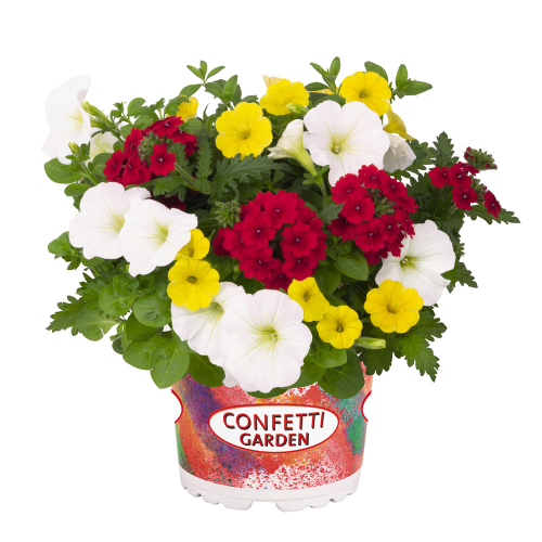 Mélange Fleuri Confetti Liner Trio Garden That"S Love