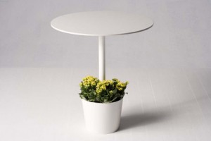 table little garden Yoshioka