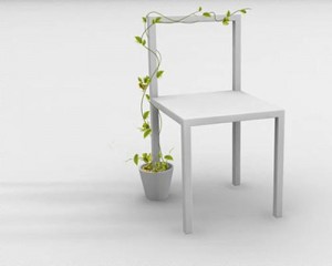 zhuo_wang_plant_chair