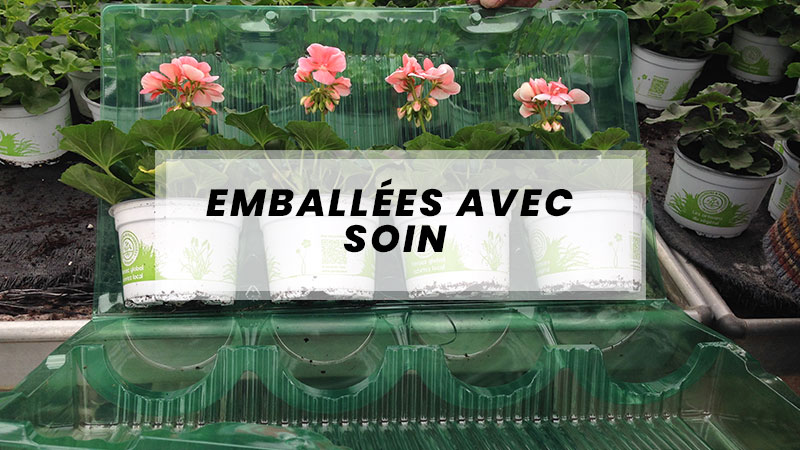 embalees avec soin