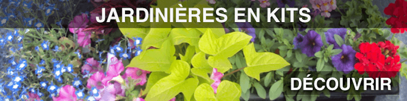 composition de jardinières sur mesure