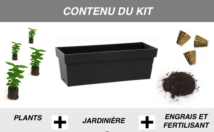 contenu kit de plante