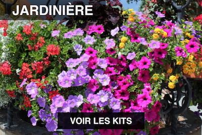 jardinière de plantes