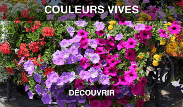 Jardinière couleurs vives